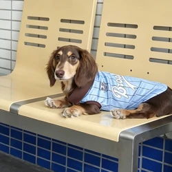 Camiseta deportiva sin mangas a rayas para perros salchicha Dachshund