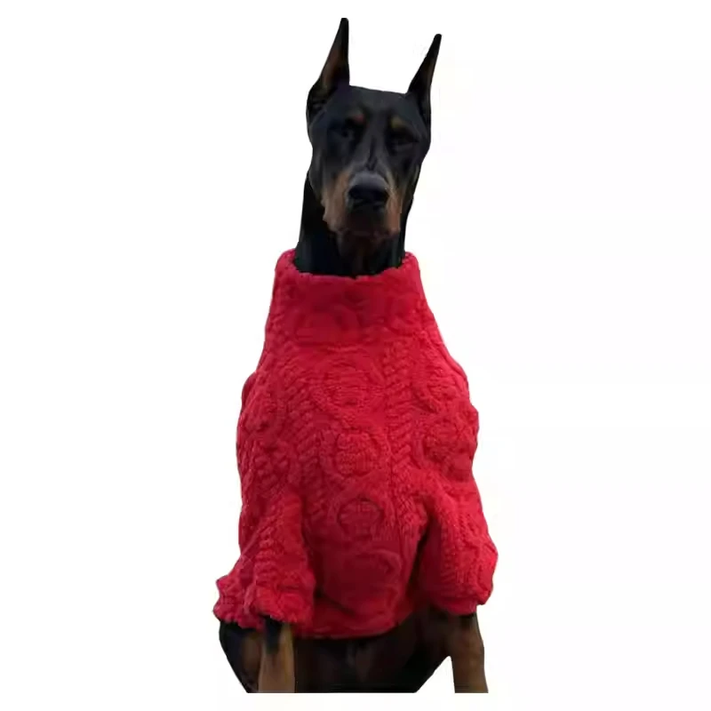 Perro familar posando para foto de Año Nuevo con el suéter