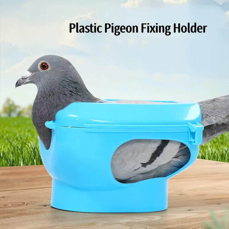 Soporte Fijación Aves y Loros – Dispositivo para Medicación y Uñas - imagen 5