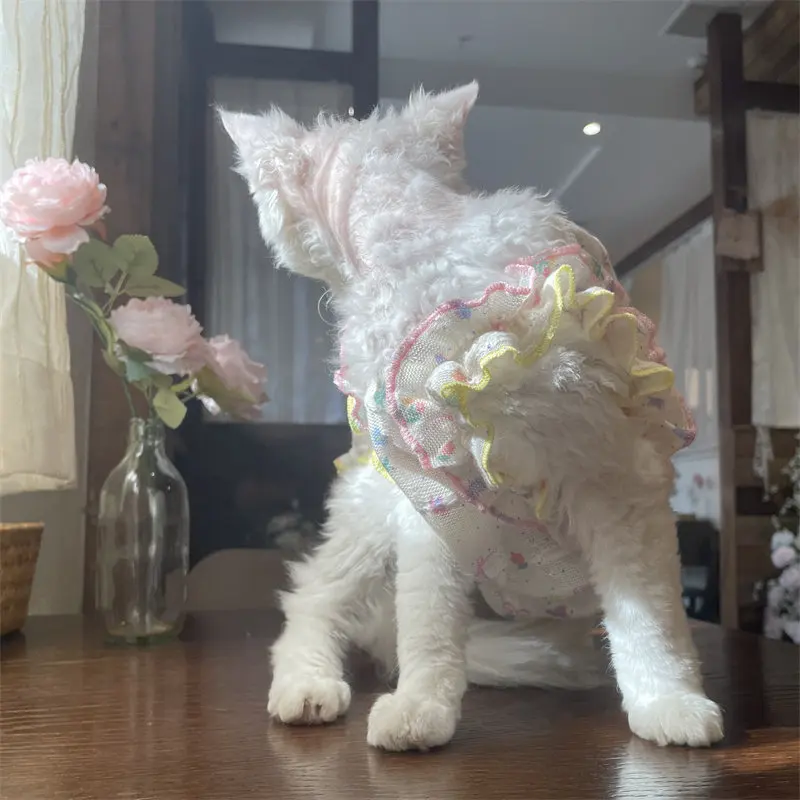 Vestido veraniego transpirable para gatos Sphynx - imagen 4