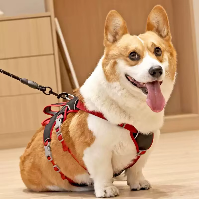 Arnés de pecho ajustable malla suave reflectante para perros y gatos - imagen 2