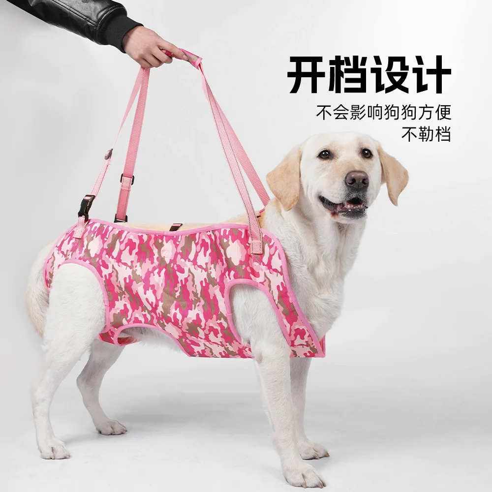 Arnés de asistencia ajustable para perros mayores o con discapacidad - imagen 3