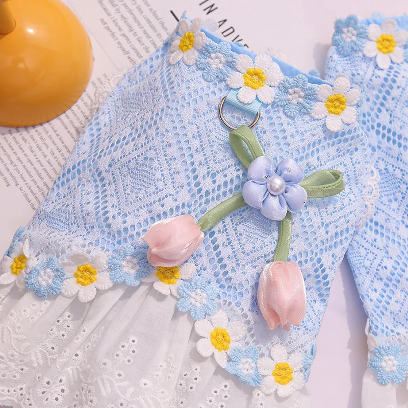 Vestido de princesa para mascota en uso