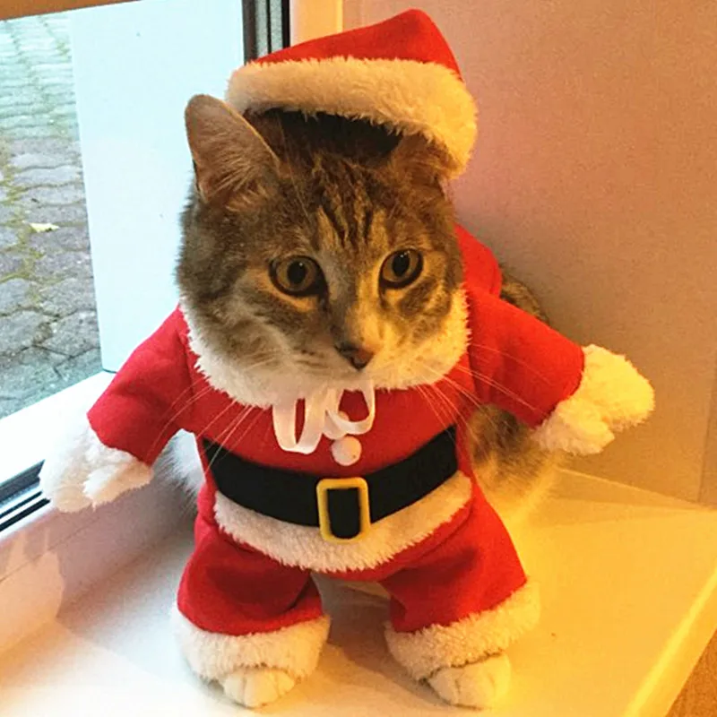 Mascota con el disfraz de Santa Claus