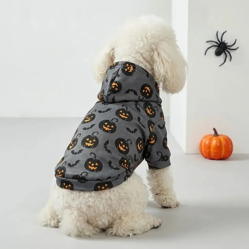 Sudadera gris Halloween para perro y gato con estampado de calabaza y murciélago - imagen 3