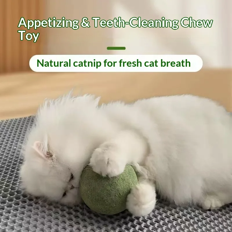 Juguete pelota catnip gigante antiestrés para gatos y autojuego - imagen 5
