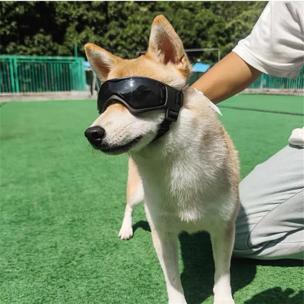 Gafas de sol para perros pequeños en varios colores y tallas