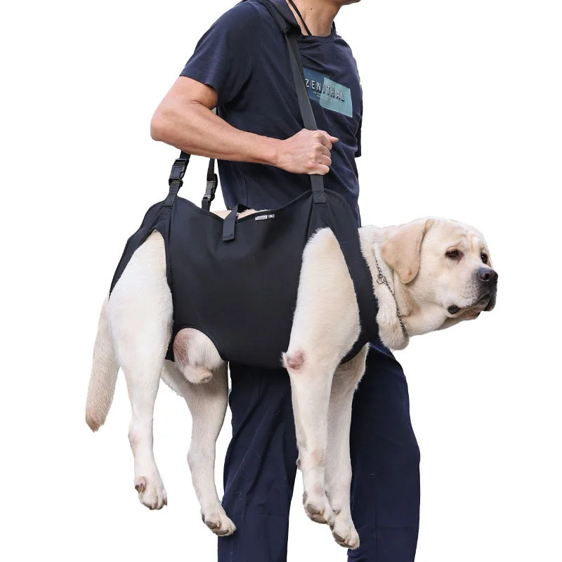 Arnés de Rehabilitación para Perros Mayores y Lesionados - imagen 2