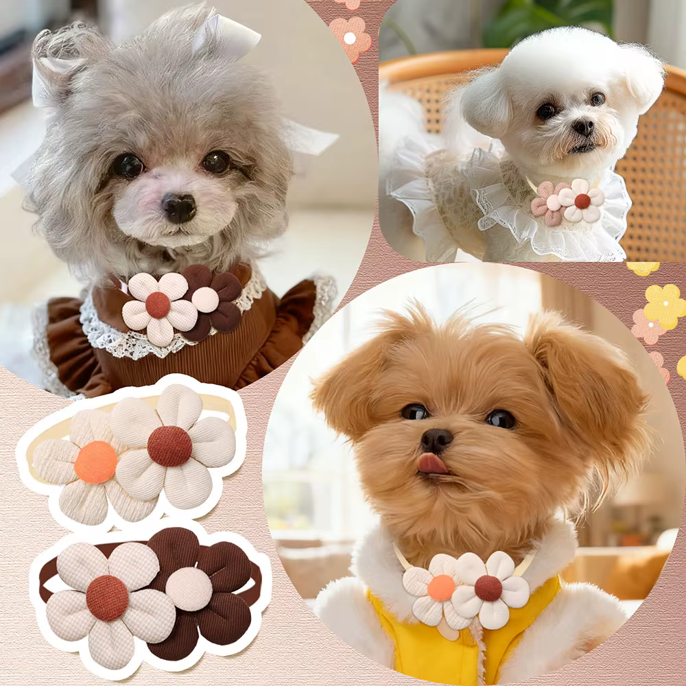 Lazos ajustables para perros y gatos – Pack de accesorios de moda otoñal