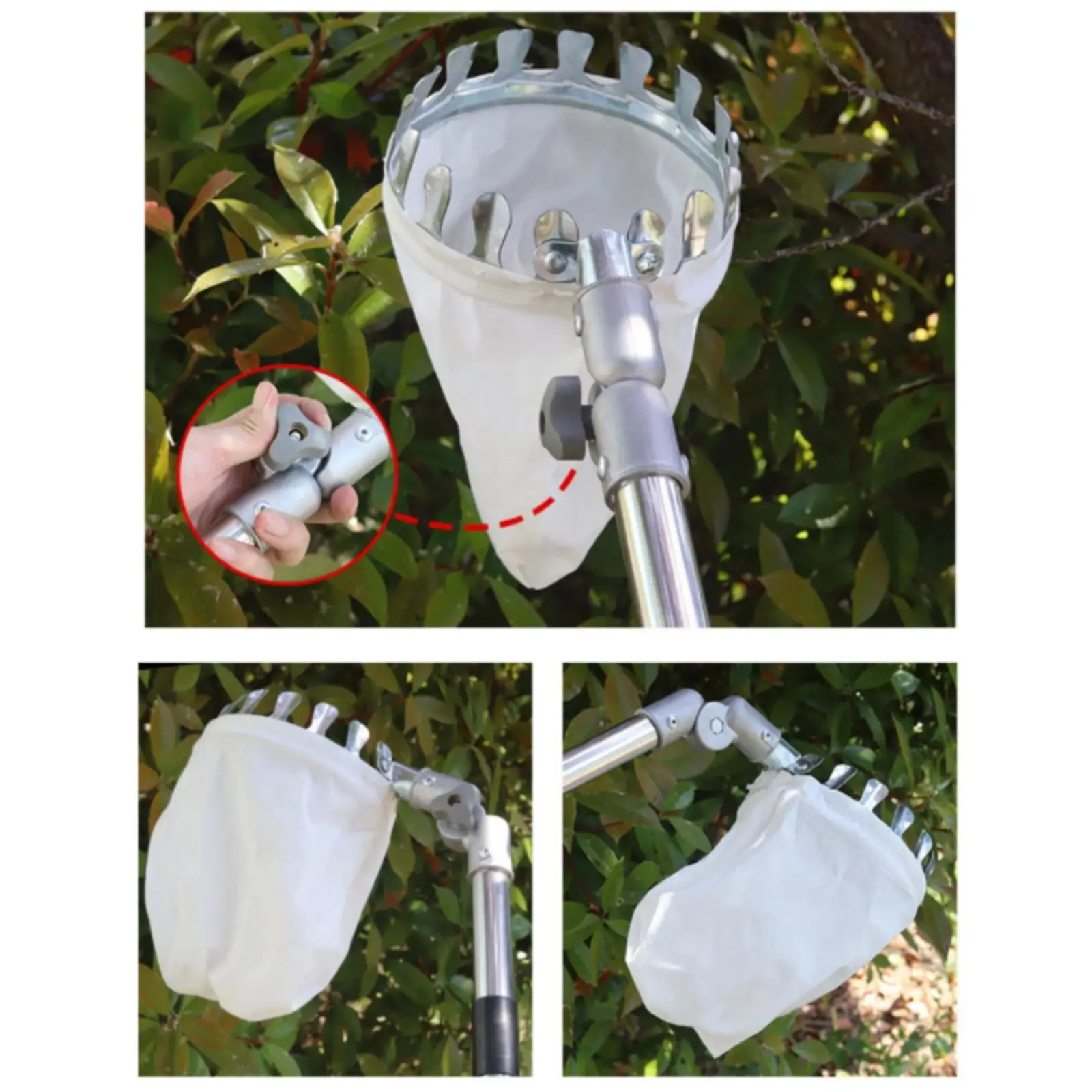 Recolector telescópico de fruta con bolsa para el huerto - imagen 2
