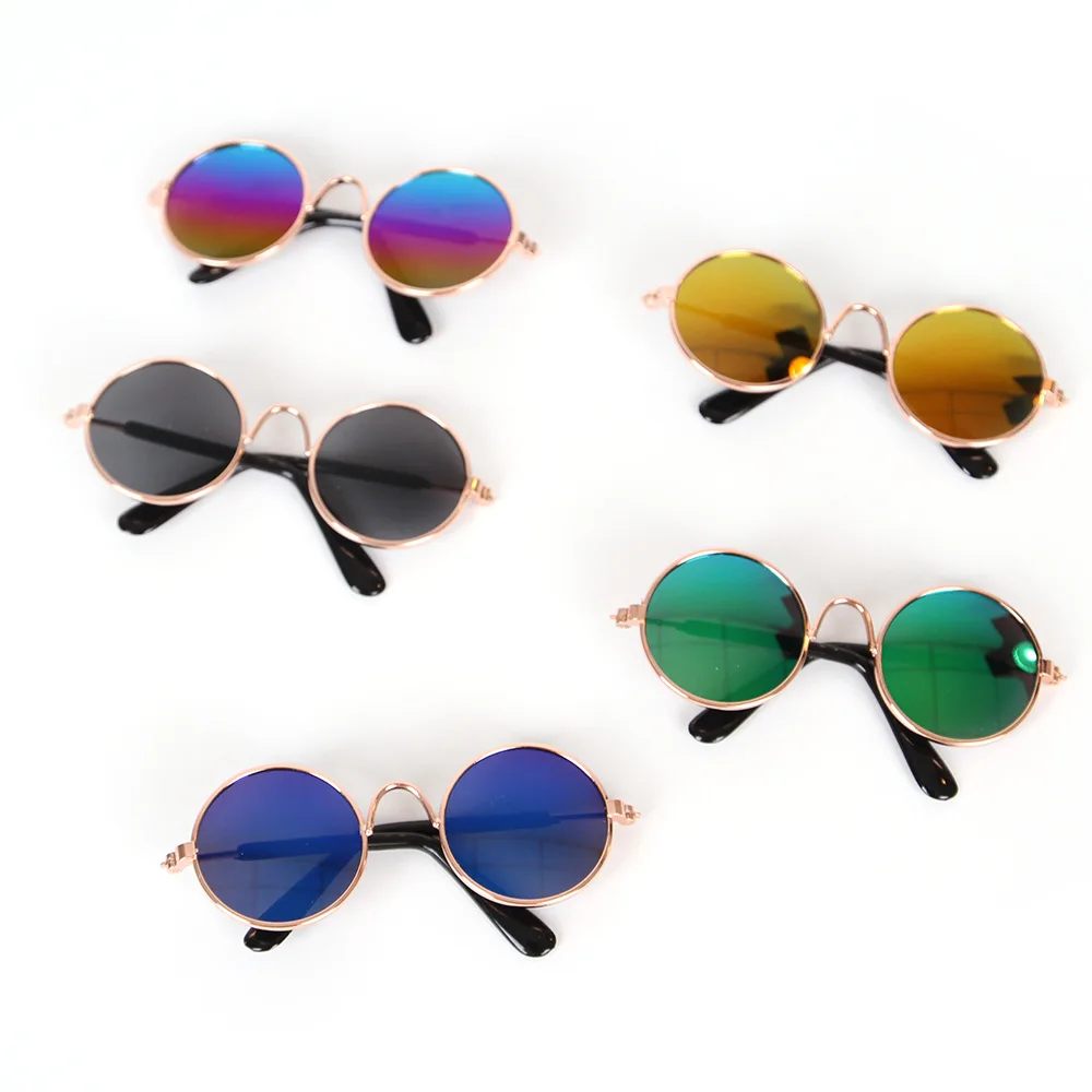 Gafas en perro pequeño