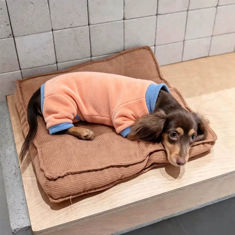 Sudadera forro polar para perro salchicha Dachshund, cubre vientre - imagen 3