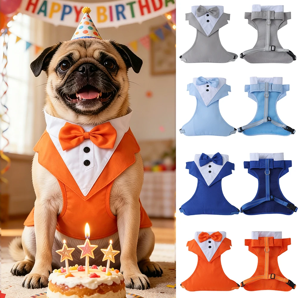 Disfraz de cumpleaños con arnés para perro pequeño, Pug y Caniche - imagen 2