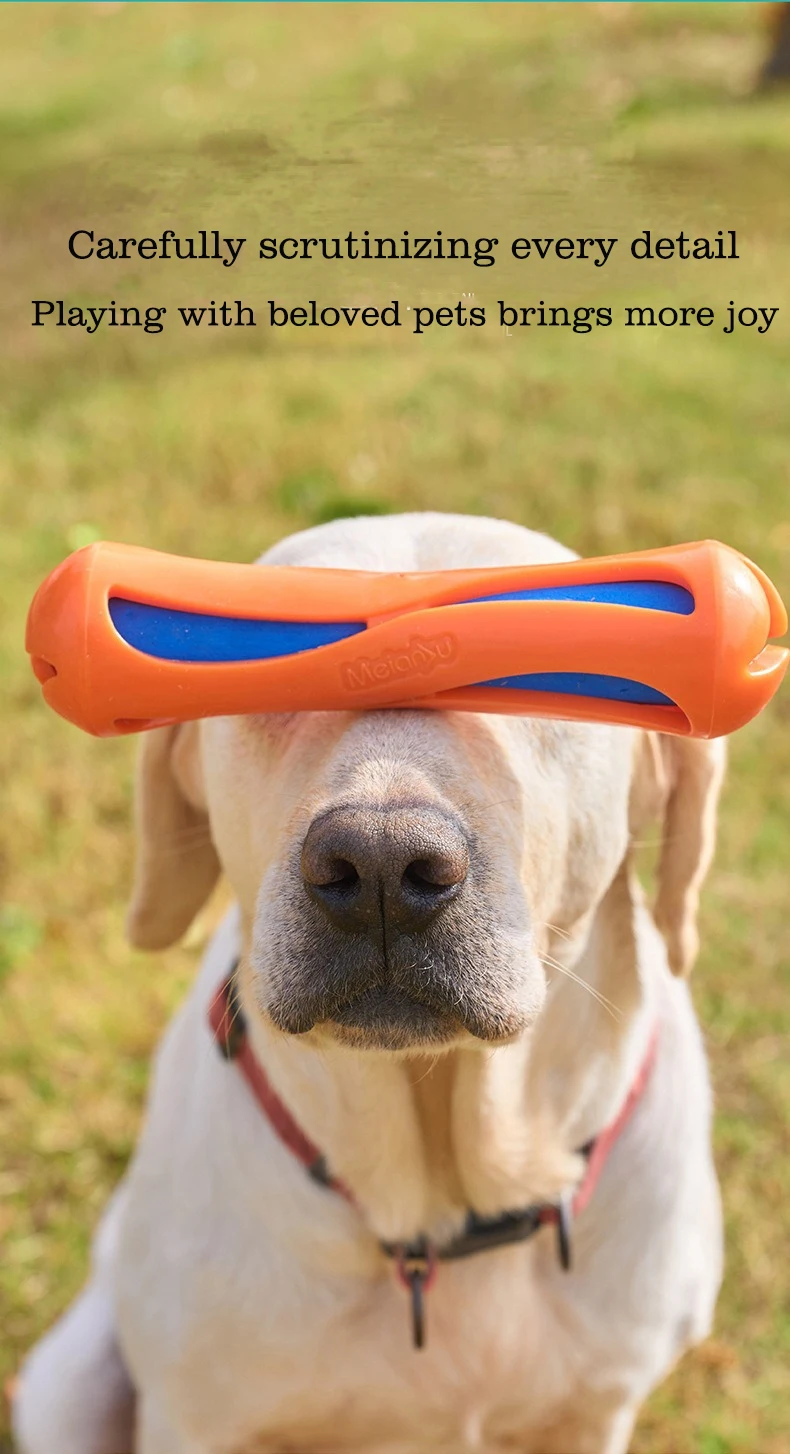 Perro jugando con el stick
