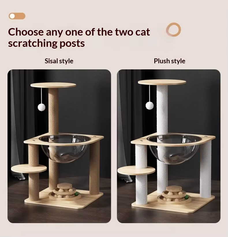 Detalle de la cápsula y cama del gato