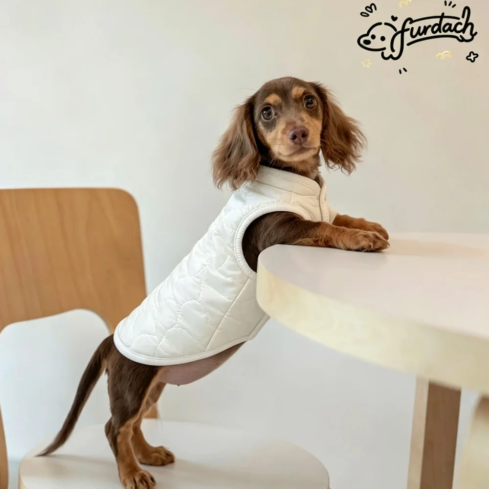 Abrigo de plumón sin mangas para perros salchicha, cálido invierno - imagen 2