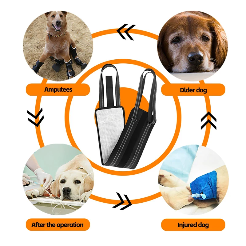 Perro mayor usando el arnés