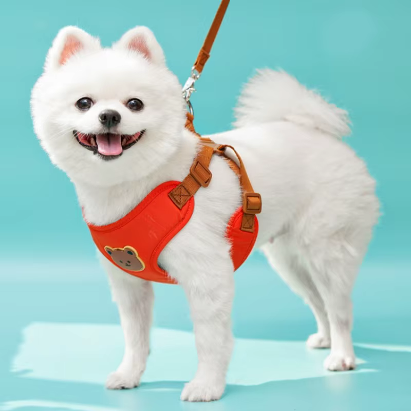 Arnés ajustable con correa para perro y gato – Chaleco de osito - imagen 5