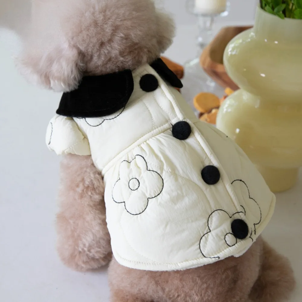 Perro con abrigo de peluche