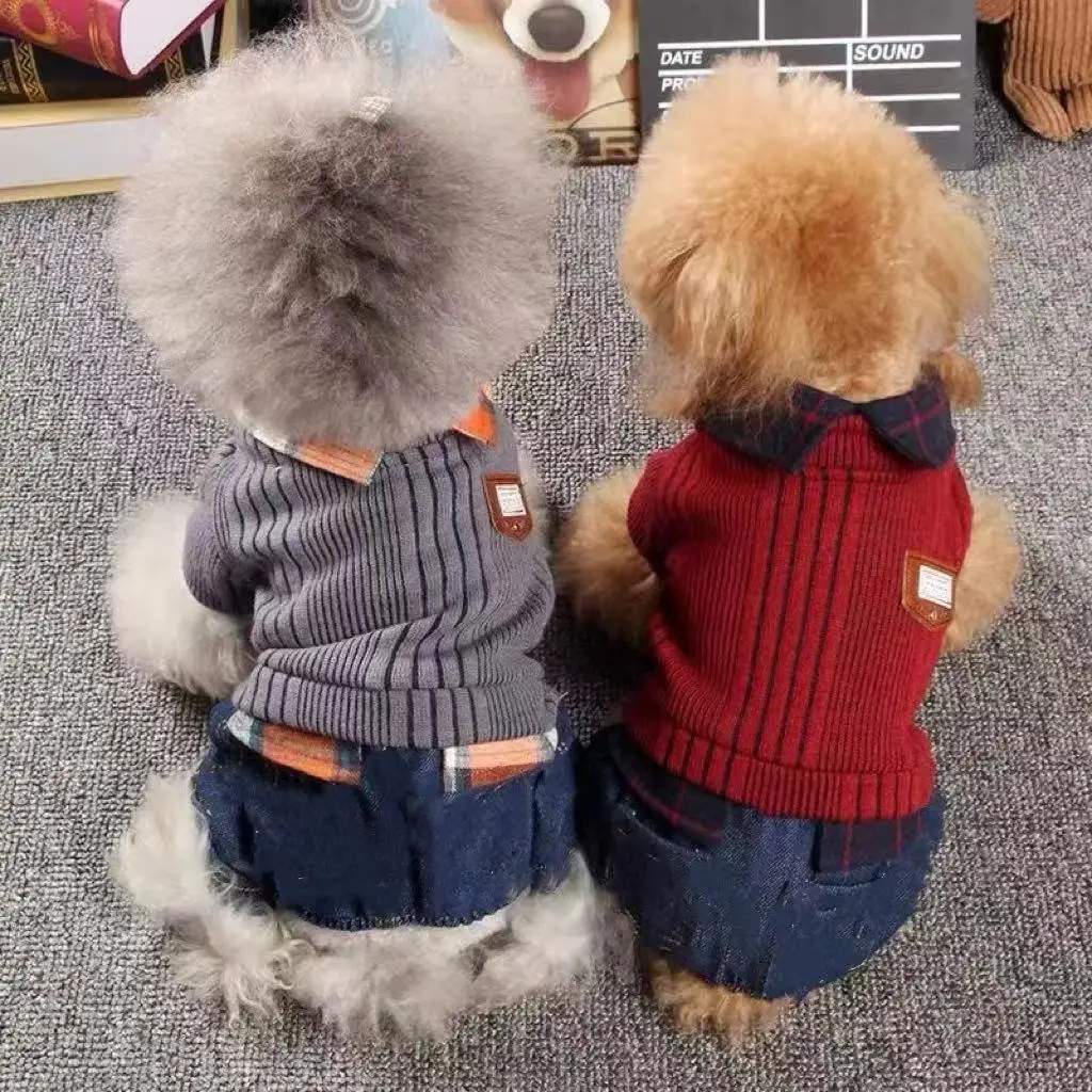 Perro con abrigo de terciopelo en tonos cálidos