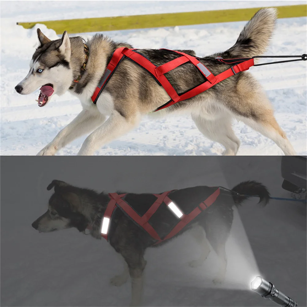 Arnés antitirones reflectante ajustable para perros Husky y Labrador