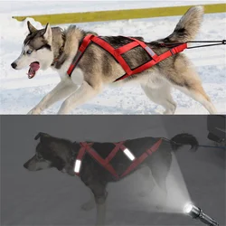Arnés antitirones reflectante ajustable para perros Husky y Labrador