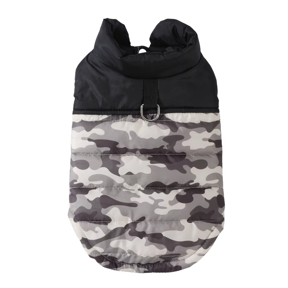 Perro pequeño con la chaqueta puesta durante un paseo al aire libre