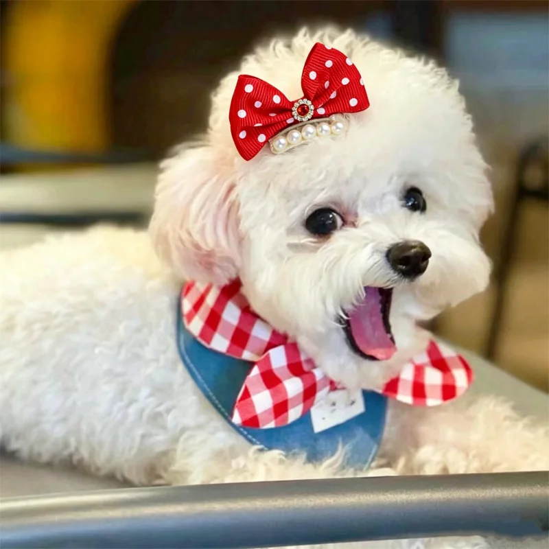 Pañuelo de lujo para perro y lazo a cuadros, set para mascotas - imagen 3