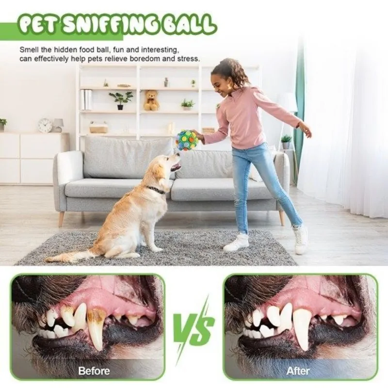 Perro jugando con la bola
