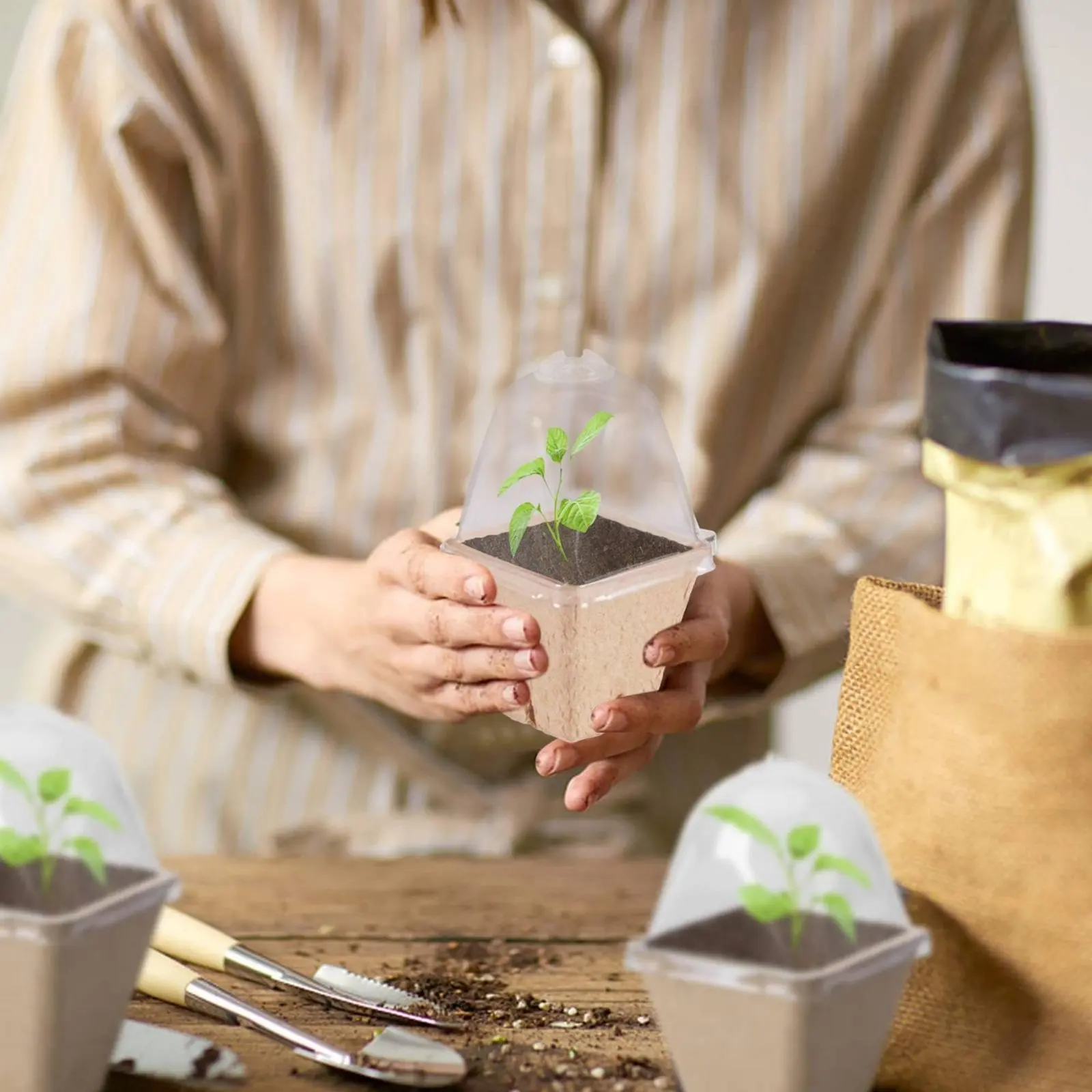 Macetas biodegradables para germinación con ventilación y drenaje - imagen 4