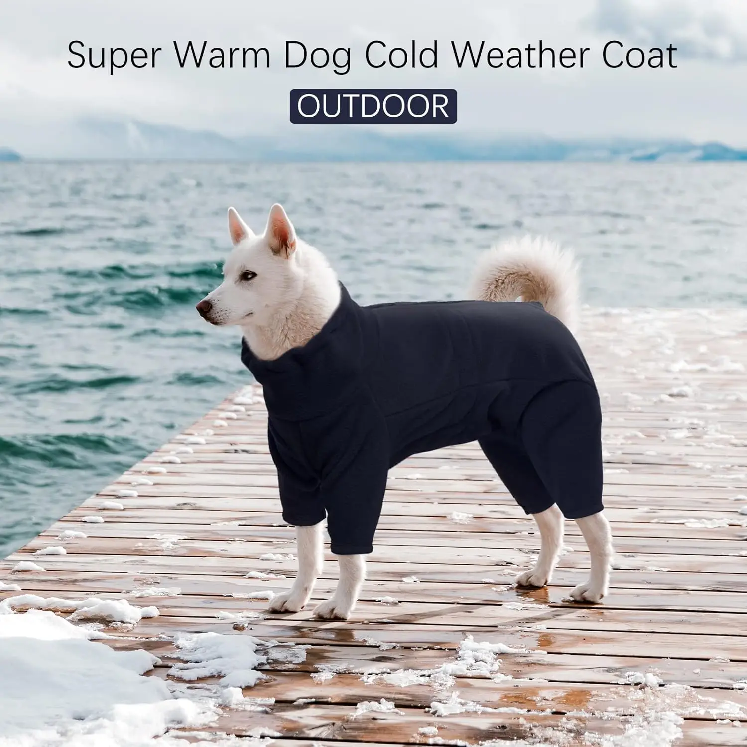 Perro usando el abrigo con cremallera trasera y puños elásticos