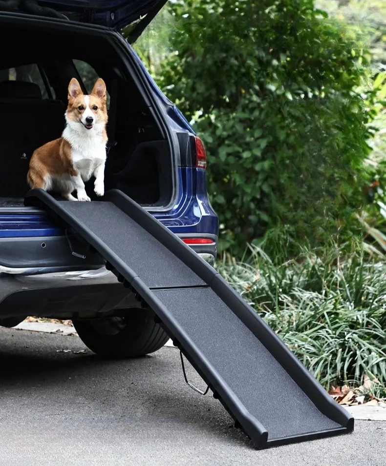 Rampa plegable para perros en uso dentro del coche