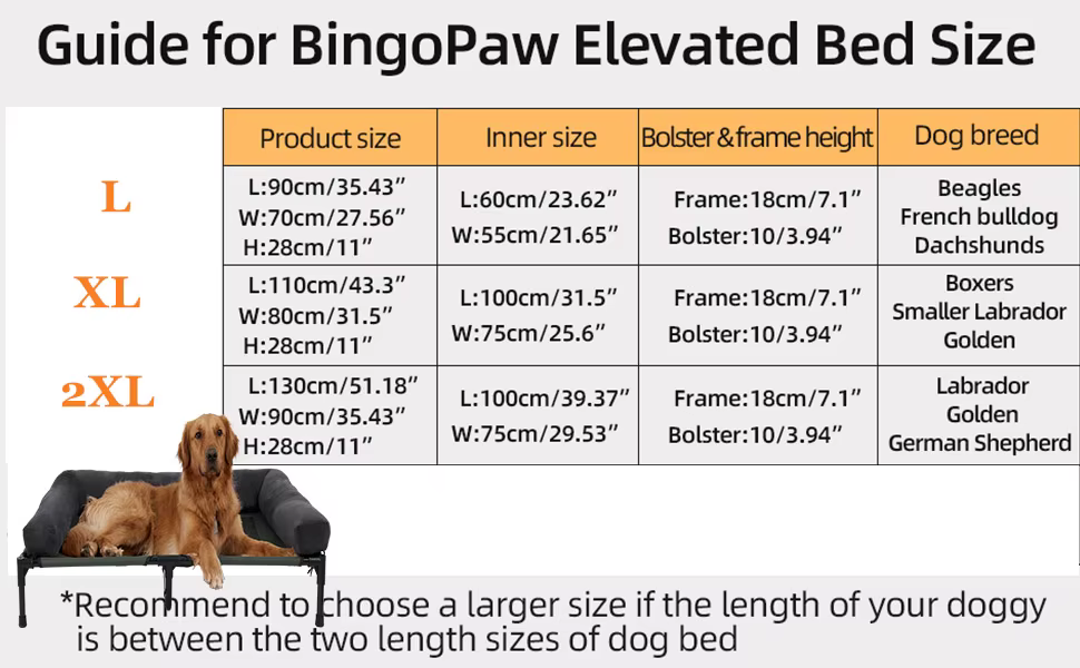 Cama elevada para perros en exterior