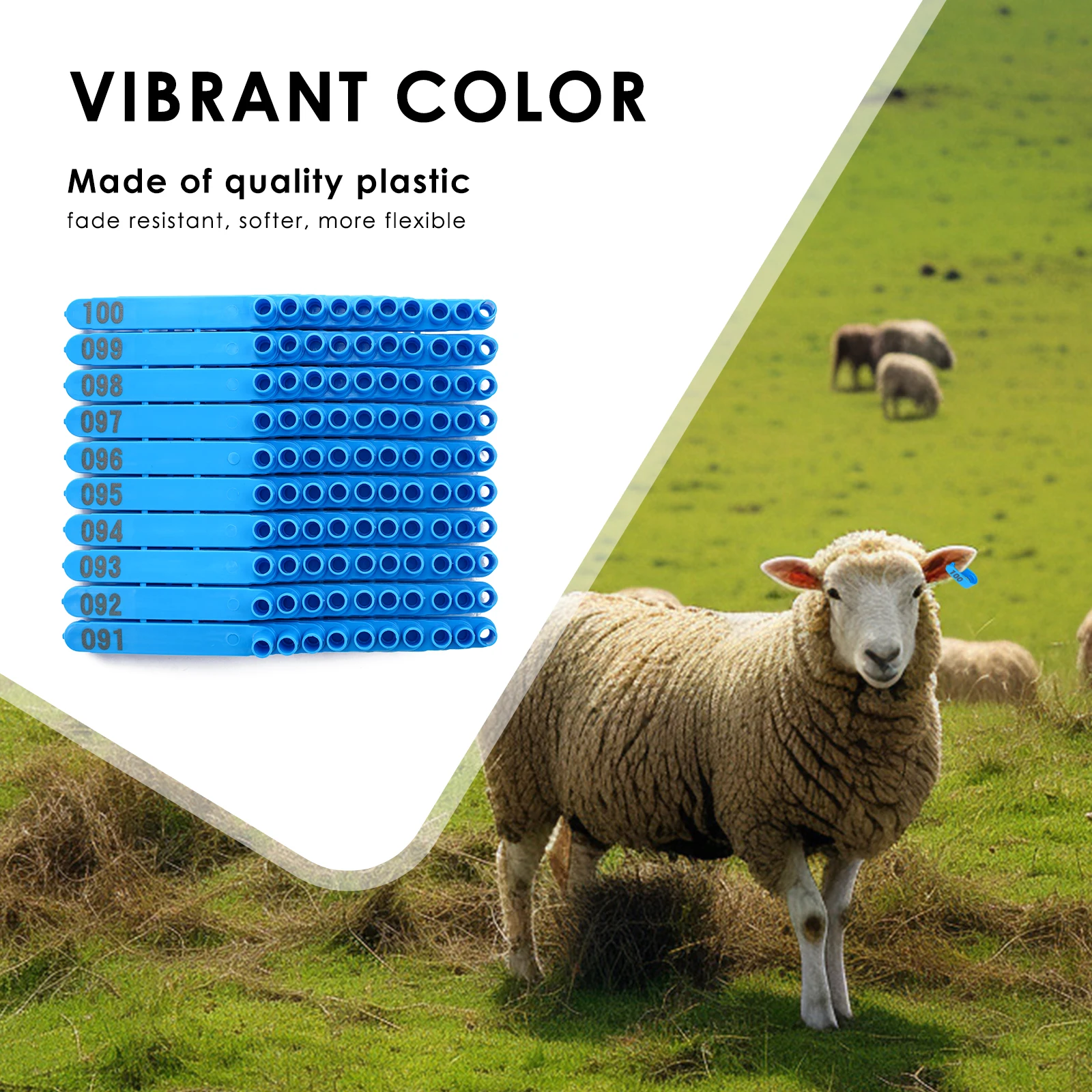 Alicate de acero inoxidable para colocación