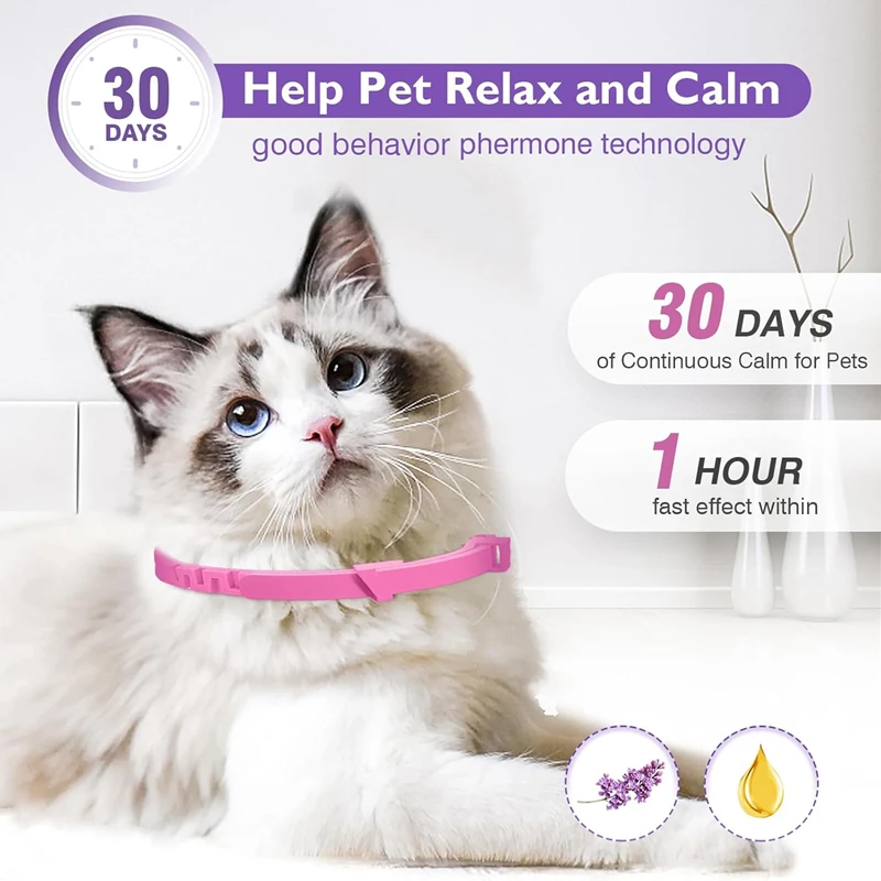Collar relajante para gatos: alivia ansiedad y protege - imagen 2