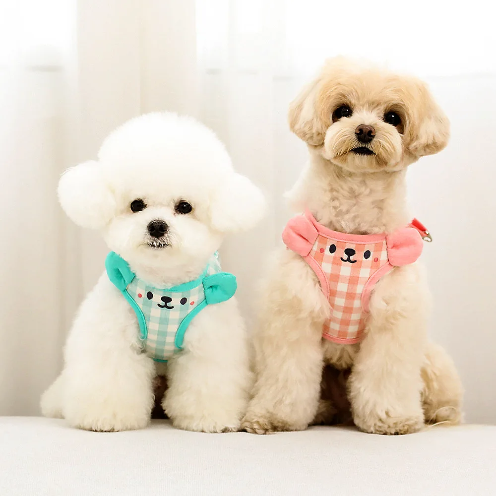 Oso de peluche para cachorro