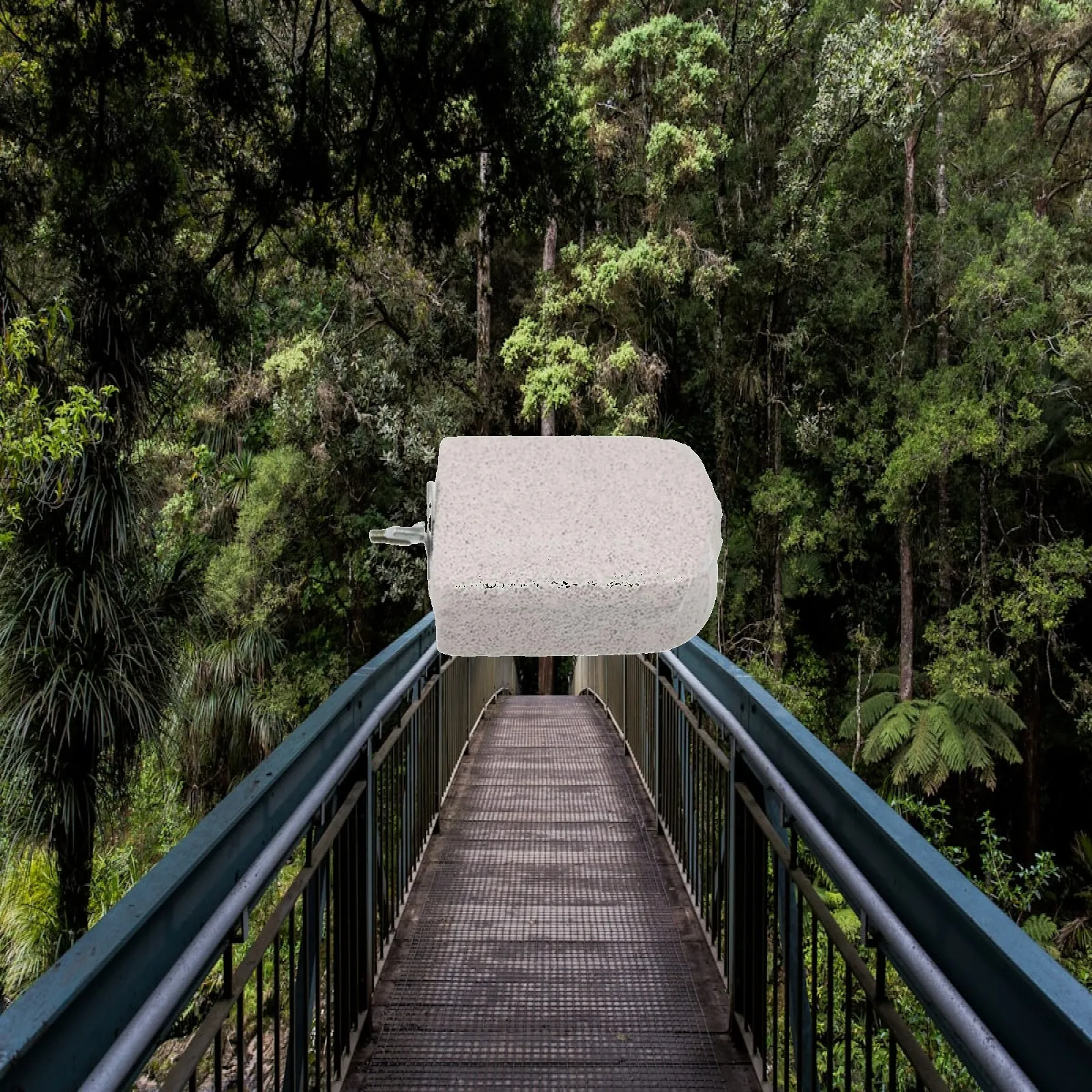 Percha Natural con Piedra para Aves – Juguete para Pico y Garras - imagen 5
