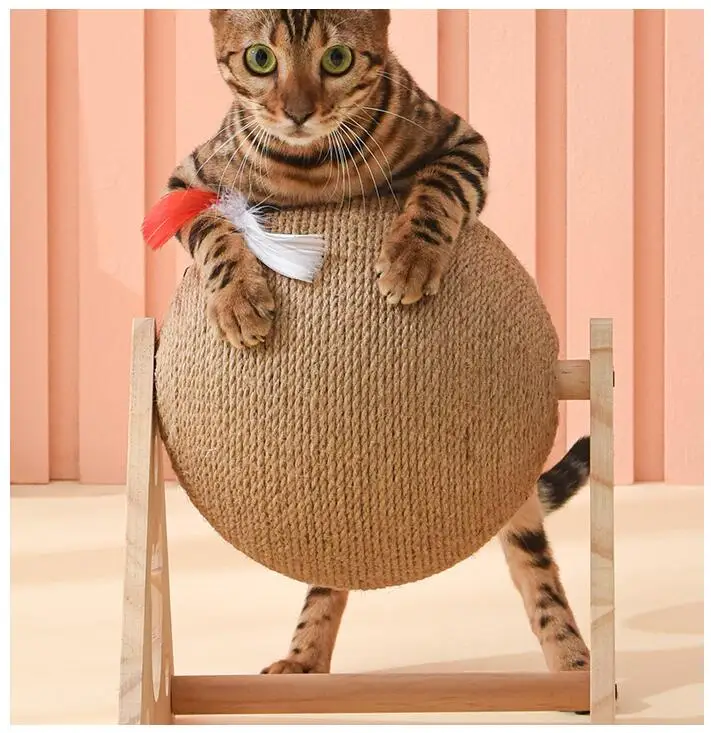 Gato disfrutando del rascador
