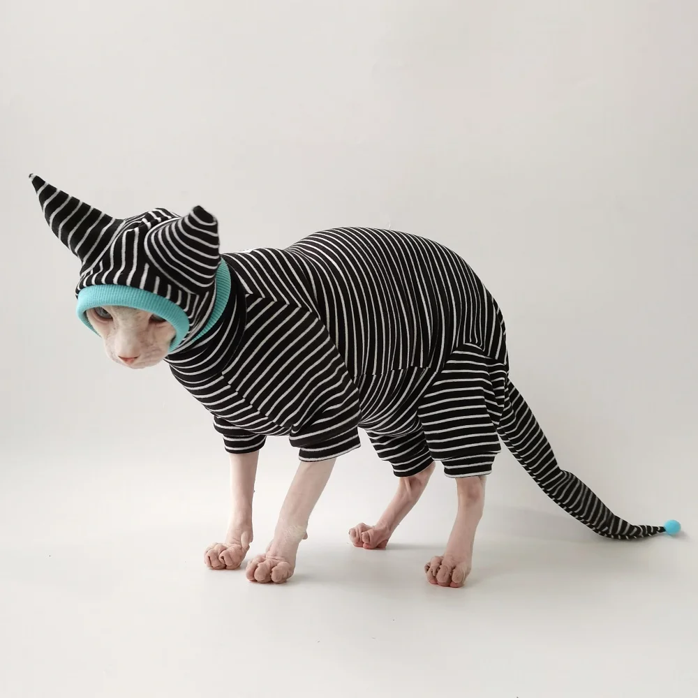Gato usando la sudadera