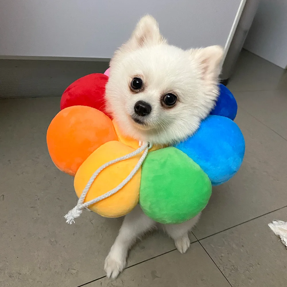 Cono ajustable para gatos y perros pequeños