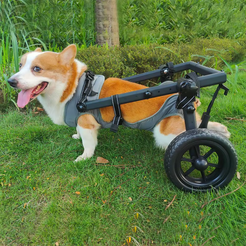 Silla de ruedas ajustable para perros medianos y grandes – Rehabilitación trasera - imagen 5