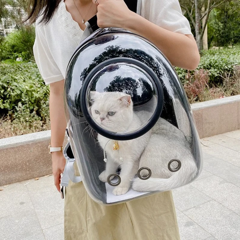 Persona cargando la mochila mientras camina por un sendero