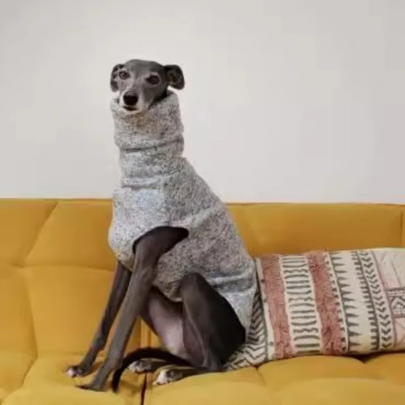 Perro wearing suéter en diferentes posiciones