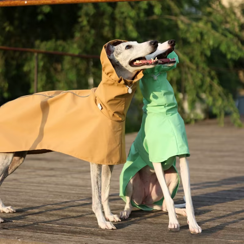 Impermeable ligero ajustable para galgo italiano y whippet - imagen 4