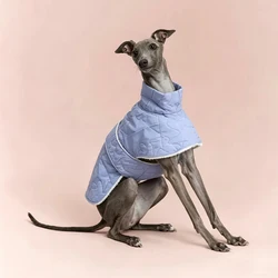 Abrigo azul invierno para galgo italiano y whippet - Cortavientos ajustable