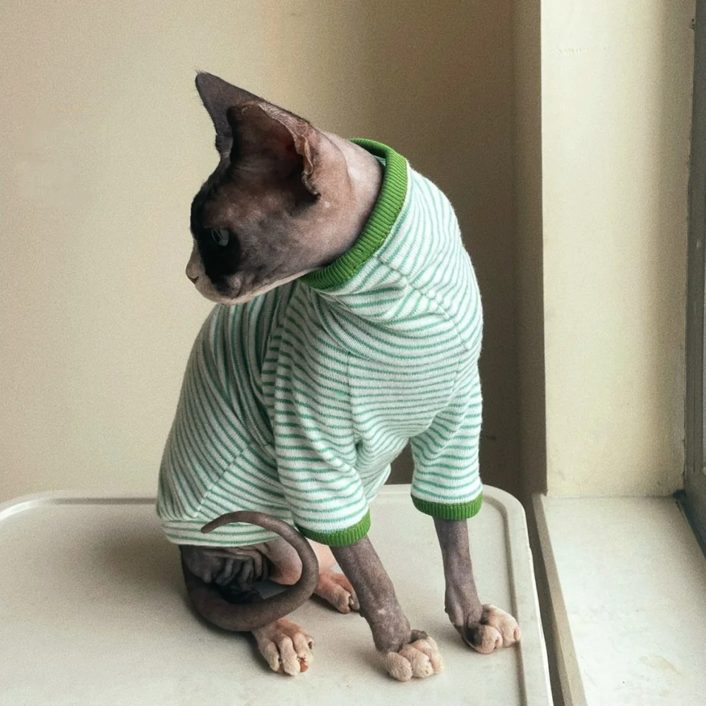 Camiseta verde con diseño de rayas para gato