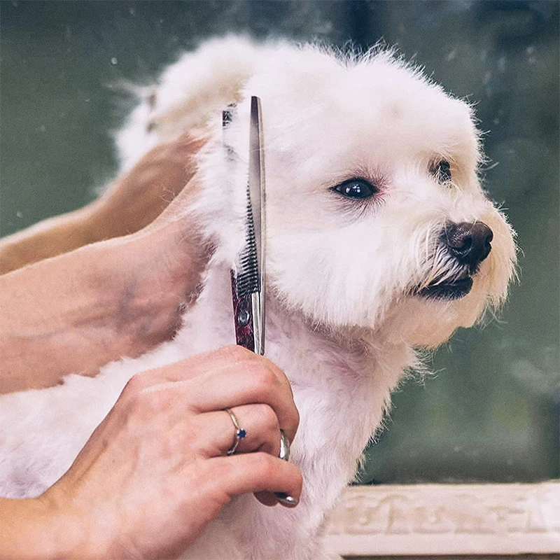 Tijeras profesionales de acero inoxidable para mascotas