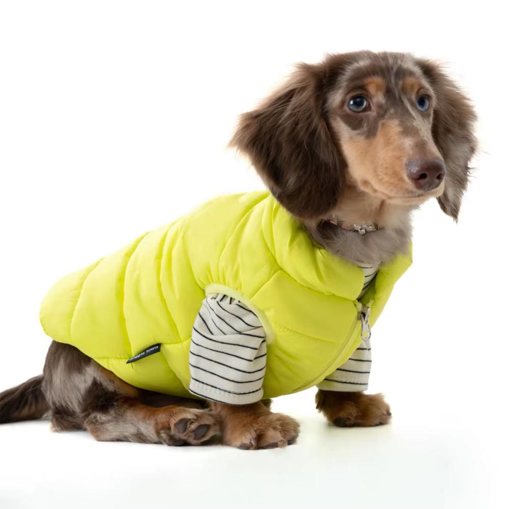 Chaqueta de invierno ligera para perros Dachshund, cortavientos cálido - imagen 5