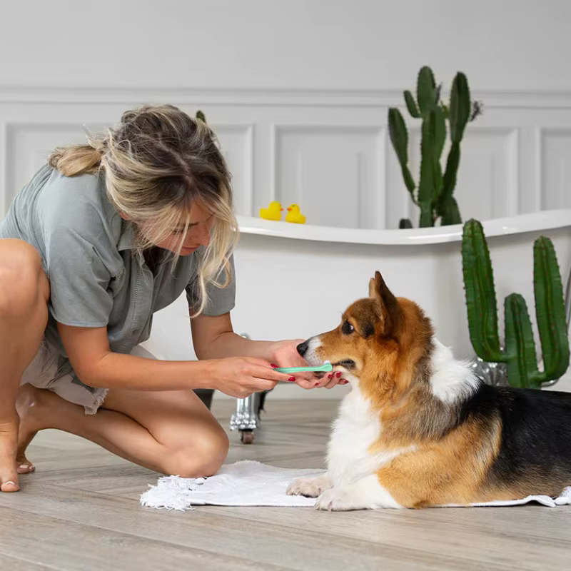 Cepillo Dental Pequeño para Perros y Gatos – Limpieza Bucal Mascotas