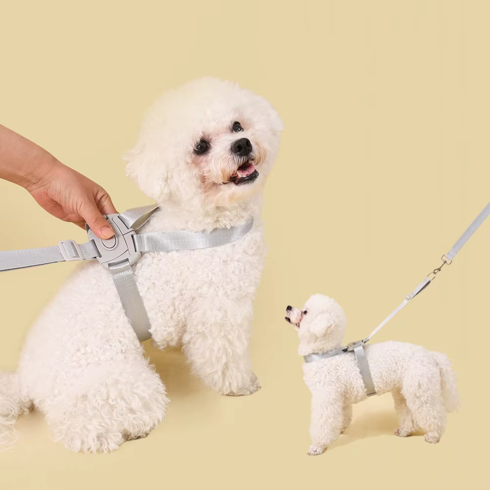 Arnés para gatos antiescape con correa anti-estrangulamiento un clic - imagen 5